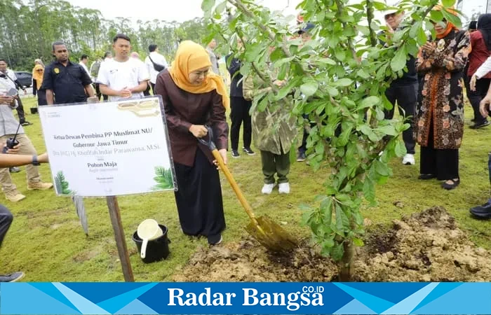 Gubernur Khofifah menanam Pohon Maja di Plaza Bhinneka Tunggal Ika, IKN Kalimantan Timur (hms)