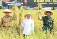 Gubernur Jawa Timur Khofifah Indar Parawansa bersama Bupati Lamongan dan Pangdam V/Brawijaya Mayjen TNI Rudy Saladin saat panen raya di wilayah Kodim 0812/Lamongan, 16 Juni 2025.(RadarBangsa|Ho Adpim)