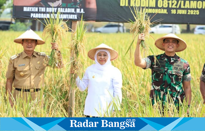 Gubernur Jawa Timur Khofifah Indar Parawansa bersama Bupati Lamongan dan Pangdam V/Brawijaya Mayjen TNI Rudy Saladin saat panen raya di wilayah Kodim 0812/Lamongan, 16 Juni 2025.(RadarBangsa|Ho Adpim)