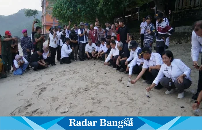 Bupati Gunungkidul bersama masyarakat dan Dinas Kelautan melepasliarkan 101 tukik penyu di Pantai Wediombo, sebagai upaya pelestarian satwa langka.Rabu (4/6). | Dok.Ho/Paiman RadarBangsa 