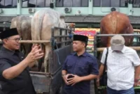 Wali Kota Yogyakarta Hasto Wardoyo menyerahkan secara simbolis bantuan hewan kurban untuk penggerobak sampah se-Kota Yogyakarta di Balai Kota, Kamis (5/6/2025). | Dok.Ho/Paiman RadarBangsa 