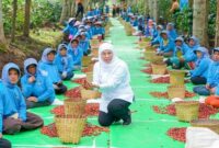 Gubernur Khofifah meninjau proses sortasi biji kopi hasil panen raya di Bondowoso yang dikenal sebagai “Republik Kopi”. | Dok Foto Ho/RadarBangsa