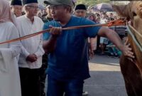 Kurban Hampir 1 Ton di Masjid Agung Kaliwungu Kendal,dari Presiden Prabowo di beli dari Anang warga Tanjungmojo Kangkung Kedal.(RadarBangsa.co.id).
