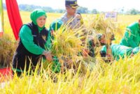 Khofifah Indar Parawansa, turut serta dalam panen raya padi bersama petani dan aparat TNI-Polri, menunjukkan dukungan nyata terhadap ketahanan pangan dan kesejahteraan petani lokal. | Dok Ho/RadarBangsa