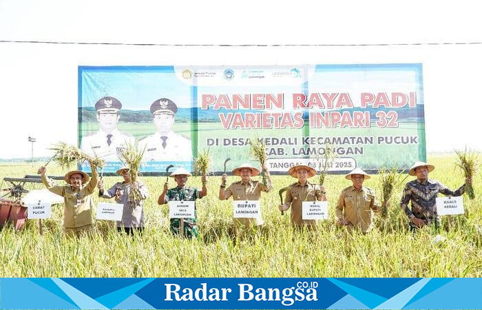 Pak Yes pantau langsung panen raya di Pucuk. Harga gabah menguntungkan petani, jadi momentum kuat dorong swasembada pangan. | Dok Foto Ho/RadarBangsa