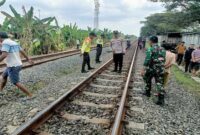 Petugas gabungan dari Polsek Sukodadi, Satlantas Polres Lamongan, dan Polsuska saat melakukan olah TKP dan evakuasi jenazah korban kecelakaan di jalur KA Petak Jalan Surabayan–Pucuk, Jumat (4/7/2025). | Dok Foto Ho/RadarBangsa