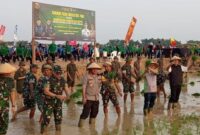 Danrem 082/CPYJ Kolonel Inf Batara Alex Bulo bersama Forkopimda Lamongan serta jajaran TNI-Polri melaksanakan tanam padi varietas PMJ di area Kolam Pancing Pandu Sakti, Desa Jotosanur, Kecamatan Tikung, Kabupaten Lamongan. (Foto Dok Ho/RadarBangsa)