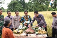 Wakil Bupati Sleman, Danang Maharsa, saat menghadiri panen raya padi varietas Sembada Merah bersama Gapoktan Lestari Mulyo di Padukuhan Kalirase, Trimulyo, Sleman, Selasa (29/7/2025). (Foto: Dok.Humas Pemkab Sleman/RadarBangsa.co.id)