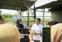 Senator DPD RI, Dr. Lia Istifhama, saat meninjau pengelolaan limbah plastik oleh Burhan di Bojonegoro, Sabtu (8/8/2025). (Foto Dok Ho/RadarBangsa.co.id)