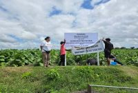 Sejumlah warga memasang papan pengumuman larangan di atas lahan milik Zika Angga Maharani Siregar di Desa Sengkerang, Kecamatan Praya Timur, Lombok Tengah, Kamis (21/8/2025) (Dok Foto Aini/RadarBangsa.co.id)