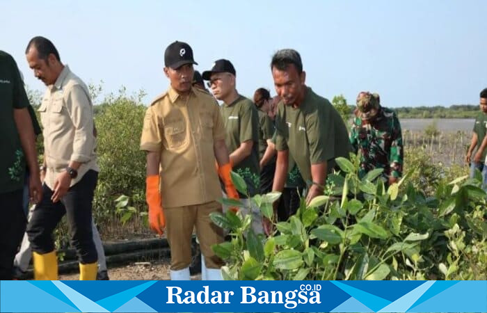 Bupati Bangkalan Lukman Hakim bersama jajaran dan warga pesisir menanam bibit mangrove di Desa Tolbuk, Kecamatan Klampis, Senin (22/9/2025) (Foto Dok Ho/RadarBangsa.co.id)