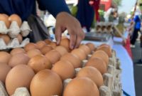 Seorang pembeli memilih telur ayam di lapak pedagang, komoditas unggulan asal Blitar yang kini mulai disuplai ke Surabaya, Jumat (26/9/2025). (Foto Dok Ho/RadarBangsa.co.id)
