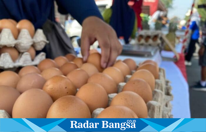 Seorang pembeli memilih telur ayam di lapak pedagang, komoditas unggulan asal Blitar yang kini mulai disuplai ke Surabaya, Jumat (26/9/2025). (Foto Dok Ho/RadarBangsa.co.id)