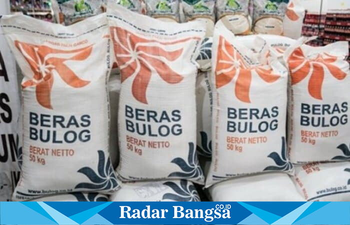 Gudang penuh, kualitas beras Bulog tetap dipantau rutin (Ilustrasi)