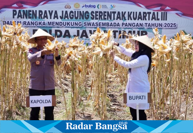 Kapolda Jawa Timur Irjen Nanang Avianto bersama Bupati Banyuwangi Ipuk Fiestiandani memetik jagung saat panen raya serentak di Lingkungan Wonosari, Kelurahan Sobo, Banyuwangi, Sabtu (27/9/2025). (Foto Dok Ho/RadarBangsa.co.id)
