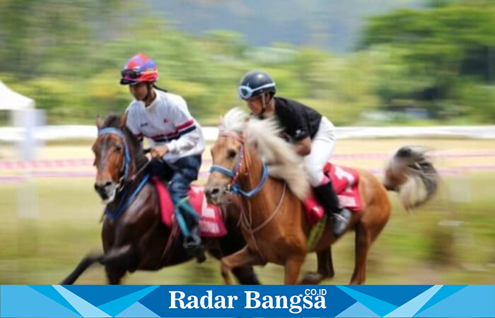 Pangeran Marsyam melesat di lintasan PERKUTUT Kelas A, memukau ribuan penonton di Ledug, Prigen. (Dok.Kominfo Pasuruan via RadarBangsa)
