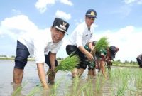 Bupati Bangkalan Lukman Hakim turun langsung ke sawah menanam padi bersama kelompok tani di Kelurahan Tunjung, Kecamatan Burneh, Rabu (3/9/2025). (Foto Dok Ho/RadarBangsa.co.id)
