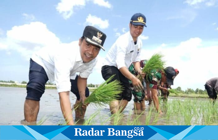 Bupati Bangkalan Lukman Hakim turun langsung ke sawah menanam padi bersama kelompok tani di Kelurahan Tunjung, Kecamatan Burneh, Rabu (3/9/2025). (Foto Dok Ho/RadarBangsa.co.id)