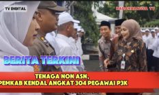 Angin Segar Tenaga Non-ASN, 304 Pegawai di Kendal Resmi Diangkat Jadi PPPK