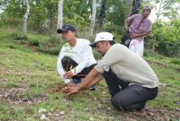 Bupati Lukman Hakim menanam bibit pohon mahoni di Bukit Binaol, Minggu (5/10/2025),  (Foto Dok Ho/RadarBangsa.co.id)