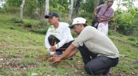 Bupati Lukman Hakim menanam bibit pohon mahoni di Bukit Binaol, Minggu (5/10/2025),  (Foto Dok Ho/RadarBangsa.co.id)