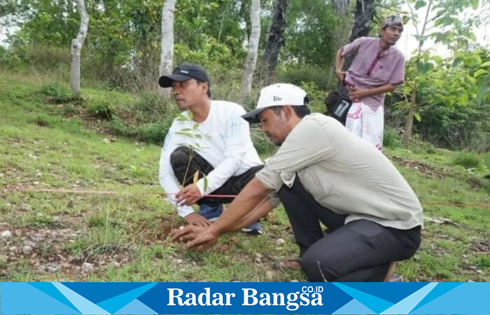 Bupati Lukman Hakim menanam bibit pohon mahoni di Bukit Binaol, Minggu (5/10/2025),  (Foto Dok Ho/RadarBangsa.co.id)