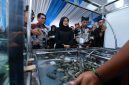 Bupati Banyuwangi, Ipuk Fiestiandani, membuka Forum Shrimp Fair sebagai wadah penguatan pelaku usaha dan petani udang. (Foto Dok Ho/RadarBangsa.co.id)