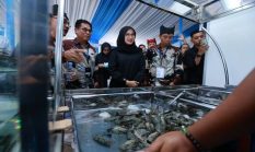 Ekspor Udang ke Amerika Serikat Dibahas di Banyuwangi, Petani Optimistis
