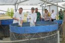 Bupati Lamongan Dr. H. Yuhronur Efendi bersama Tim Ahli Utama Kedeputian I Kantor Staf Presiden meninjau kolam budidaya ikan lele dan nila di Kampung Pandu Sakti, Desa Jotosanur, Kecamatan Tikung.(Foto Dok Ho/RadarBangsa.co.id)