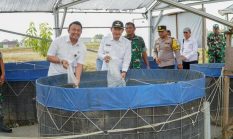 Kampung Pandu Sakti Jadi Percontohan Swasembada Pangan Lamongan