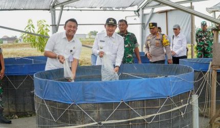 Kampung Pandu Sakti Jadi Percontohan Swasembada Pangan Lamongan