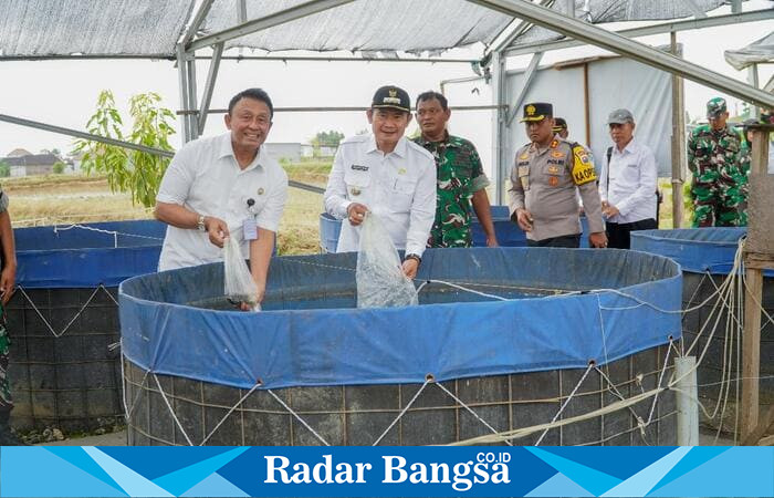 Bupati Lamongan Dr. H. Yuhronur Efendi bersama Tim Ahli Utama Kedeputian I Kantor Staf Presiden meninjau kolam budidaya ikan lele dan nila di Kampung Pandu Sakti, Desa Jotosanur, Kecamatan Tikung.(Foto Dok Ho/RadarBangsa.co.id)