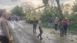 Personel Polres Lamongan bersama Polsek Sukodadi mengevakuasi pohon tumbang yang menutup jalur utama Kecamatan Sukodadi, Lamongan, Senin (20/10/2025) (Foto Dok Ho/RadarBangsa.co.id)