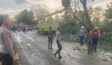 Polres Lamongan Gercep Evakuasi Pohon Tumbang di Sukodadi