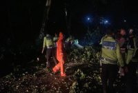 Sat Samapta Polres Lamongan evakuasi pohon tumbang akibat hujan angin di jalur Sukodadi–Pucuk. (Foto Dok Ho/RadarBangsa.co.id)