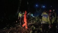 Sat Samapta Polres Lamongan evakuasi pohon tumbang akibat hujan angin di jalur Sukodadi–Pucuk. (Foto Dok Ho/RadarBangsa.co.id)