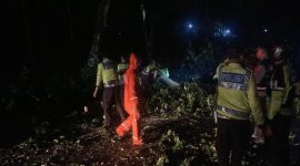 Sat Samapta Polres Lamongan evakuasi pohon tumbang akibat hujan angin di jalur Sukodadi–Pucuk. (Foto Dok Ho/RadarBangsa.co.id)