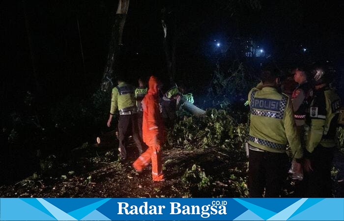 Sat Samapta Polres Lamongan evakuasi pohon tumbang akibat hujan angin di jalur Sukodadi–Pucuk. (Foto Dok Ho/RadarBangsa.co.id)