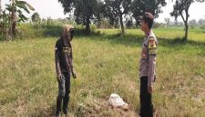 Aipda M.F. Rozi AR dari Polsek Tikung melakukan patroli ke area persawahan warga di Desa Dukuhagung, Kecamatan Tikung, Lamongan, Kamis (16/10/2025), (Foto Dok Ho/RadarBangsa.co.id)