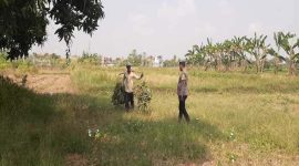 Anggota Polsek Tikung saat melaksanakan patroli ke area persawahan warga di Dusun Bakalan, Desa Bakalanpule, Kecamatan Tikung, Lamongan, dalam rangka mendukung program Pekarangan Pangan Bergizi (P2B). ( Foto Dok Ho/RadarBangsa.co.id)