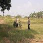 Anggota Polsek Tikung saat melaksanakan patroli ke area persawahan warga di Dusun Bakalan, Desa Bakalanpule, Kecamatan Tikung, Lamongan, dalam rangka mendukung program Pekarangan Pangan Bergizi (P2B). ( Foto Dok Ho/RadarBangsa.co.id)