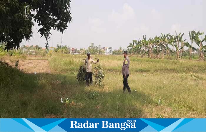 Anggota Polsek Tikung saat melaksanakan patroli ke area persawahan warga di Dusun Bakalan, Desa Bakalanpule, Kecamatan Tikung, Lamongan, dalam rangka mendukung program Pekarangan Pangan Bergizi (P2B). ( Foto Dok Ho/RadarBangsa.co.id)