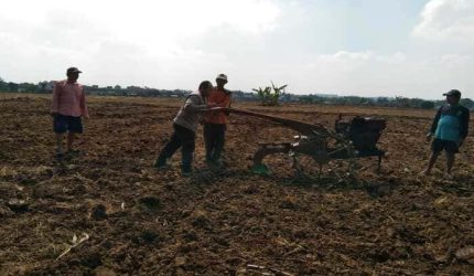 Polsek Tikung Dorong Swasembada Pangan Lewat Program Pekarangan Bergizi
