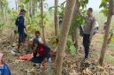 Polisi bersama warga saat melakukan pengecekan di area hutan jati, Kecamatan Tikung, Lamongan, Jumat (3/10/2025). (Dok Foto Ho/RadarBangsa.co.id)