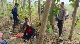 Polisi bersama warga saat melakukan pengecekan di area hutan jati, Kecamatan Tikung, Lamongan, Jumat (3/10/2025). (Dok Foto Ho/RadarBangsa.co.id)