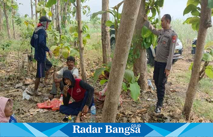 Polisi bersama warga saat melakukan pengecekan di area hutan jati, Kecamatan Tikung, Lamongan, Jumat (3/10/2025). (Dok Foto Ho/RadarBangsa.co.id)