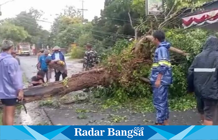 Petugas gabungan bersama warga mengevakuasi pohon tumbang yang menutup akses jalan utama di Kecamatan Ngimbang, Lamongan, setelah hujan deras disertai angin kencang melanda wilayah tersebut pada Selasa (7/10/2025) sore. (Foto Dok Ho/RadarBangsa.co.id)