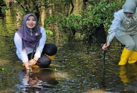 Senator Lia Istifhama menanam mangrove di pesisir Manado (Istimewa)