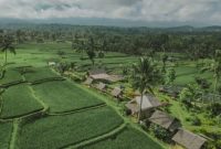 Panorama hijau di kaki Gunung Ijen menjadi daya tarik utama dalam Ijen Golden Route, rute wisata baru yang memperkenalkan hidden gem Banyuwangi. (Foto Dok Ho/RadarBangsa.co.id)