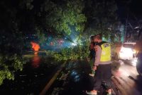 Petugas dan warga mengevakuasi pohon tumbang yang menutup jalur utama Sukodadi. (Foto Dok Ho/RadarBangsa.co.id)